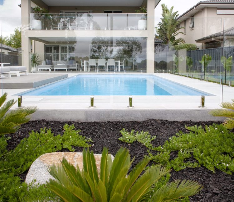 Fibreglass pool installation in Sandhurst, Melbourne, featuring crystal blue water, frameless glass fencing, light grey paving, and tropical landscaping with cycads and fresh mulch garden beds.